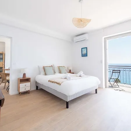 Suquet Sea View & Access 公寓 戛纳